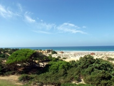 Hotel in Chiclana De La Frontera 2381