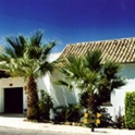 Hotel in Zahara De Los Atunes 2611