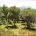 Javea property: Javea, Spain Land 24690