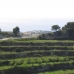 Teulada property: Land in Teulada 24707