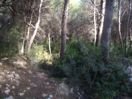 Moraira property: Land with bedroom in Moraira, Spain 24949