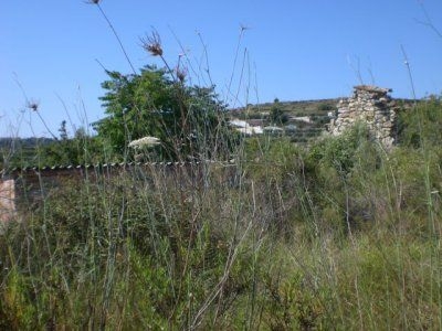 Benissa property: Land for sale in Benissa 26006