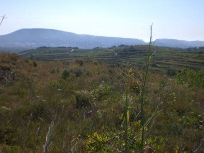 Benissa property: Land for sale in Benissa, Spain 26006