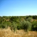 Les Coves De Vinroma property: Castellon, Spain Land 28632