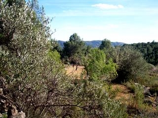 Atzeneta Del Maestrat property: Land for sale in Atzeneta Del Maestrat, Spain 28643