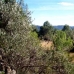 Atzeneta Del Maestrat property: Atzeneta Del Maestrat, Spain Land 28643