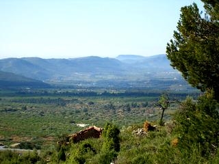 Atzeneta Del Maestrat property: Land for sale in Atzeneta Del Maestrat, Spain 28647