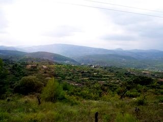 Atzeneta Del Maestrat property: Land for sale in Atzeneta Del Maestrat 28648