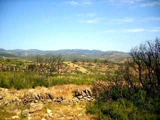 Atzeneta Del Maestrat property: Land for sale in Atzeneta Del Maestrat 28653