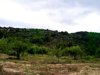 Atzeneta Del Maestrat property: Land for sale in Atzeneta Del Maestrat 28656