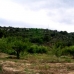 Atzeneta Del Maestrat property: Castellon, Spain Land 28656