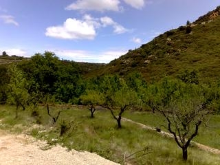 Atzeneta Del Maestrat property: Land for sale in Atzeneta Del Maestrat, Spain 28657