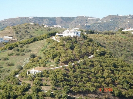 Frigiliana property: Villa to rent in Frigiliana, Spain 31625