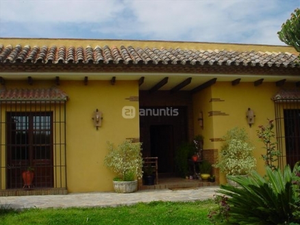 Guadalmina Alta property: Villa in Malaga to rent 31958