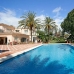 Estepona property: Estepona, Spain Villa 33537