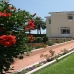 Nueva Andalucia property: Malaga, Spain Villa 33566