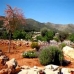 Lliber property: Lliber, Spain Villa 35669