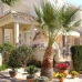 Playa Flamenca property: 2 bedroom Apartment in Alicante 4170