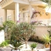 Playa Flamenca property:  Apartment in Alicante 4170