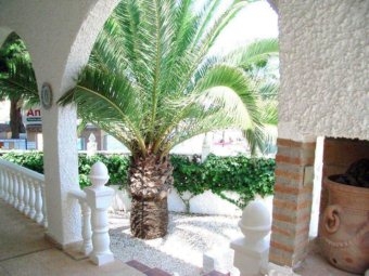 Villamartin property: Villa for sale in Villamartin 4189