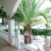 Villamartin property: Alicante, Spain Villa 4189