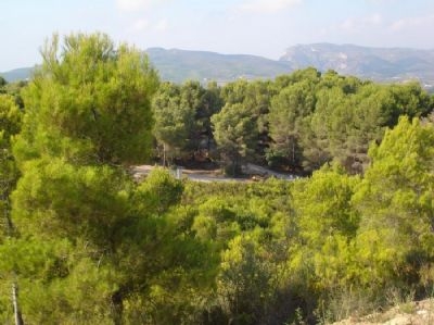 Javea property: Land with bedroom in Javea 39994