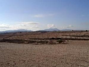 Pinoso property: Land for sale in Pinoso, Spain 41655