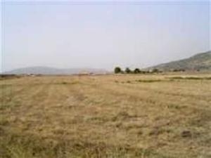 Pinoso property: Land for sale in Pinoso 41661