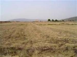 Pinoso property: Land for sale in Pinoso, Spain 41661