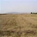 Pinoso property: Pinoso, Spain Land 41661