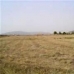 Pinoso property: Pinoso, Spain Land 41662