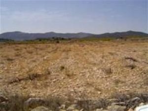 Pinoso property: Land for sale in Pinoso 41663