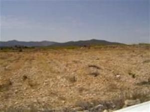 Pinoso property: Land with bedroom in Pinoso 41663