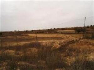 Pinoso property: Land with bedroom in Pinoso, Spain 41665