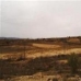 Pinoso property: Pinoso, Spain Land 41665