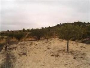 Pinoso property: Land for sale in Pinoso 41666