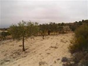 Pinoso property: Land with bedroom in Pinoso, Spain 41666