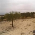 Pinoso property: bedroom Land in Alicante 41666