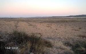 Jumilla property: Land for sale in Jumilla 41707