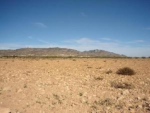 Yecla property: Land for sale in Yecla 41709