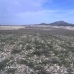 Jumilla property: Murcia, Spain Land 41710