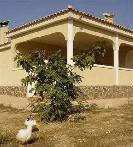 Hondon De Los Frailes property: Villa for sale in Hondon De Los Frailes 41717