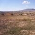 Pinoso property: Alicante, Spain Land 41724