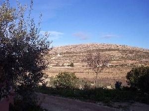 Torre Del Rico property: Land for sale in Torre Del Rico 41735