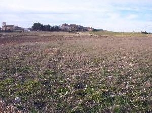 Torre Del Rico property: Land for sale in Torre Del Rico, Spain 41735