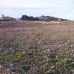 Torre Del Rico property: Torre Del Rico, Spain Land 41735