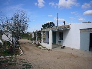 Yecla property: House with 4 bedroom in Yecla, Spain 41738