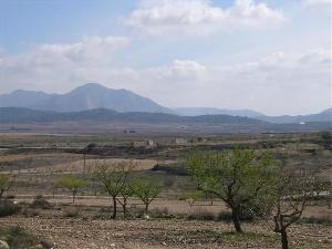 Pinoso property: Land for sale in Pinoso 41741