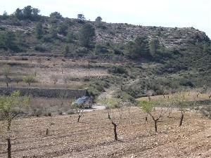 Pinoso property: Alicante property | bedroom Land 41741