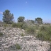 Pinoso property:  Land in Alicante 41741